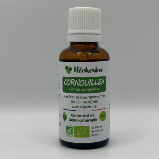 Macérat de bourgeons de Cornouiller sanguin Bio - Gemmothérapie