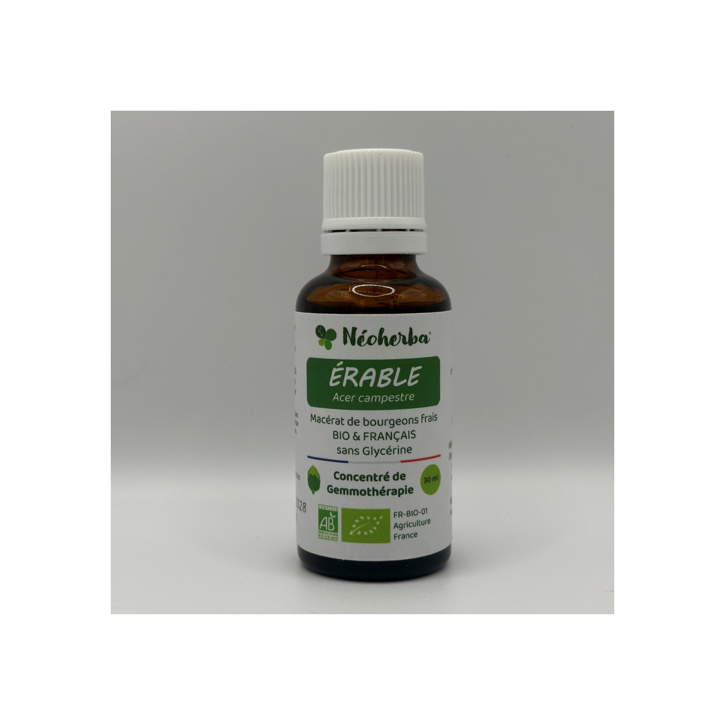 Macérat de bourgeons d'Érable Bio - Gemmothérapie