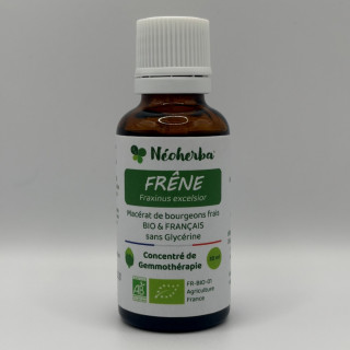 Macérat de bourgeons de Frêne Bio - Gemmothérapie