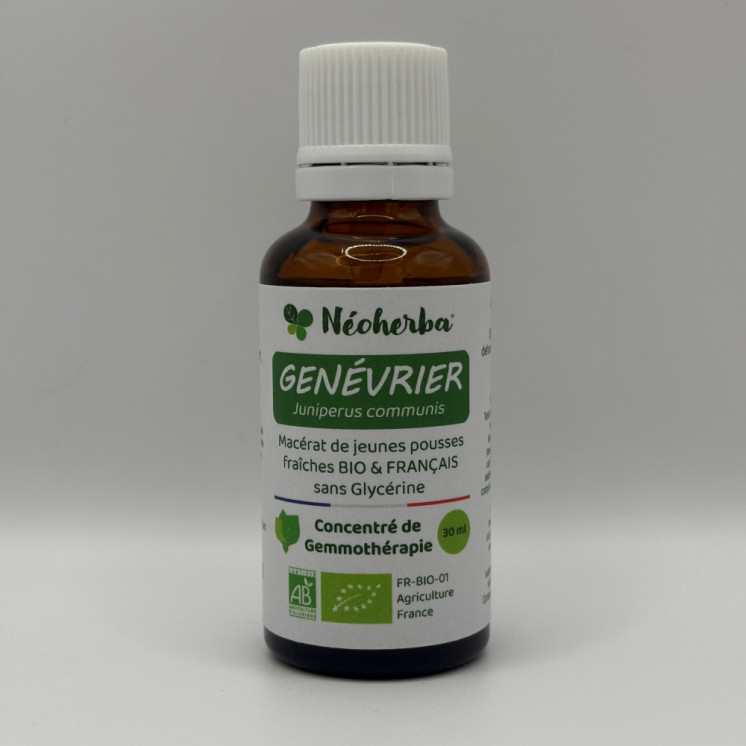Macérat de jeunes pousses de Genévrier Bio - Gemmothérapie