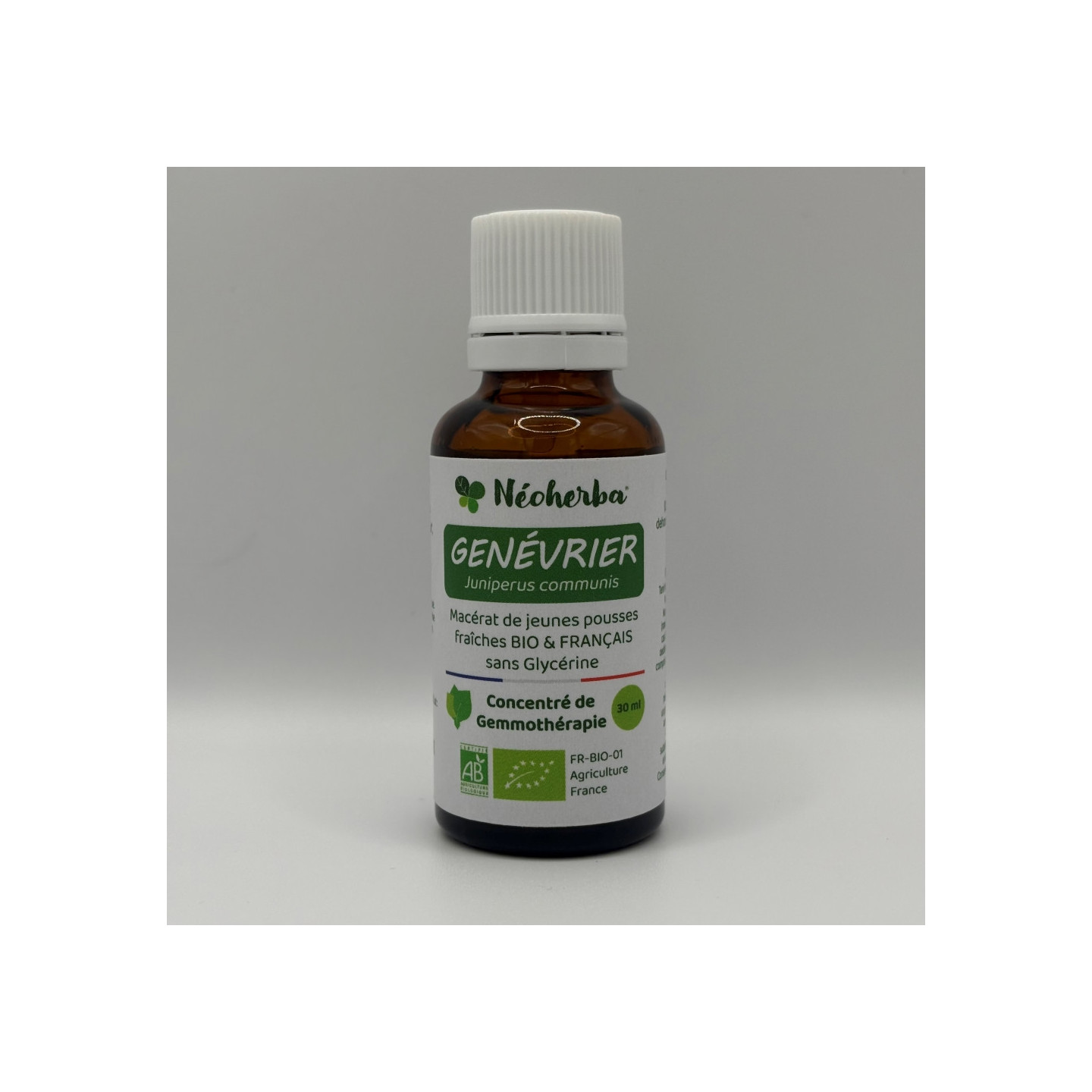 Macérat de jeunes pousses de Genévrier Bio - Gemmothérapie