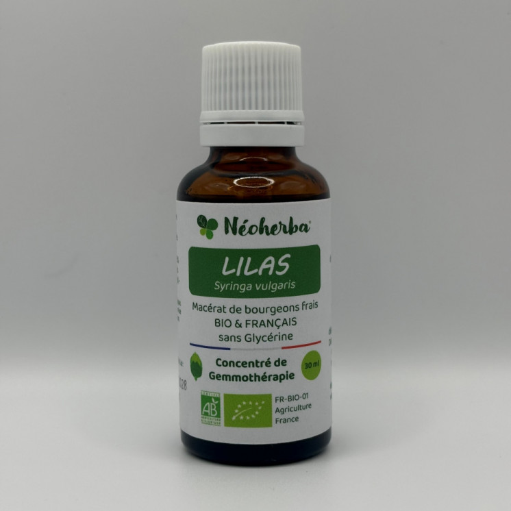 Macérat de bourgeons de Lilas Bio - Gemmothérapie