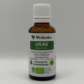 Macérat de bourgeons d'Orme Bio - Gemmothérapie