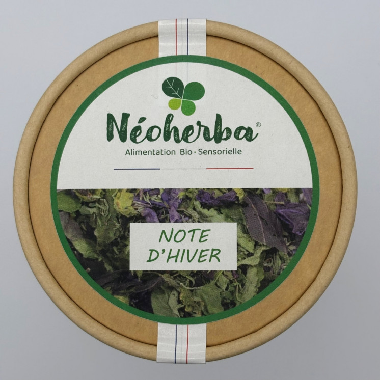 Note d'hiver