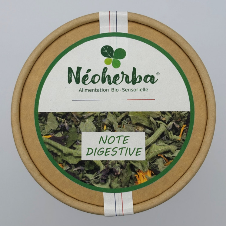 Note Digestive