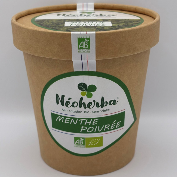 Menthe poivrée