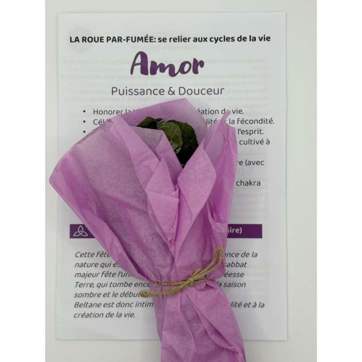 Bouquet de Fumigation - Amor